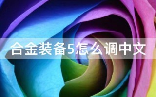  合金装备5收集攻略,合金装备5怎么进入主线46？